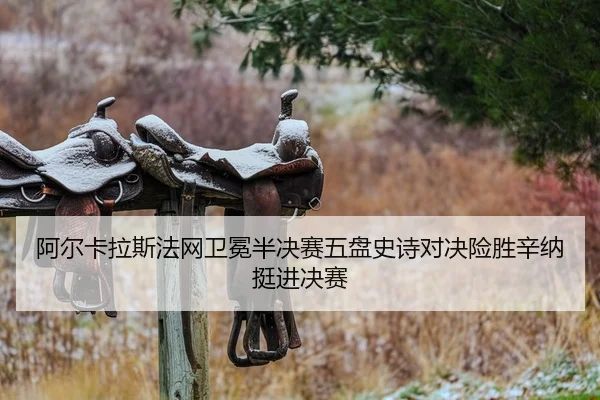 a-er-ka-la-si-fa-wang-wei-mian-ban-jue-sai-wu-pan-shi-shi-dui-jue-xian-sheng-xin-na-ting-jin-jue-sai-2-876.jpg