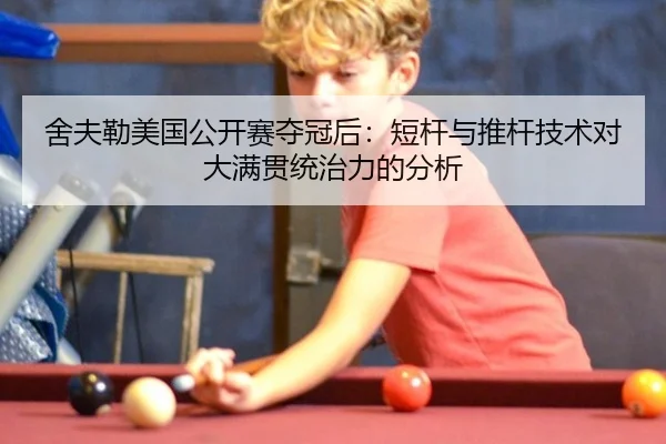 she-fu-lei-mei-guo-gong-kai-sai-duo-guan-hou-duan-gan-yu-tui-gan-ji-shu-dui-da-man-guan-tong-zhi-li-de-fen-xi-2-233.jpg