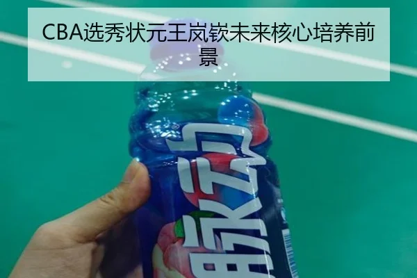 CBA选秀状元王岚嵚未来核心培养前景